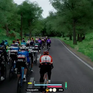 Tour de France 2026 - Foresta Verde