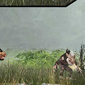 Multiplayer cooperativo