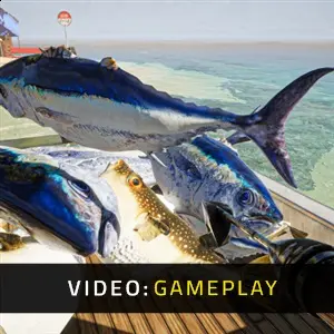 Umigari - Video di Gioco
