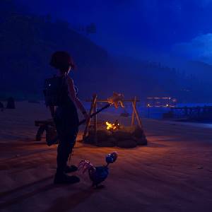 Under a Rock - Notte