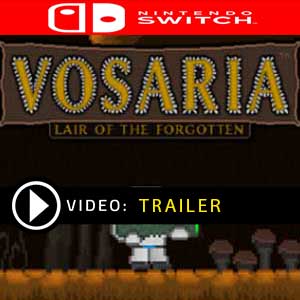 Vosaria Lair of the Forgotten Nintendo Switch Prices Digital or Box Edition