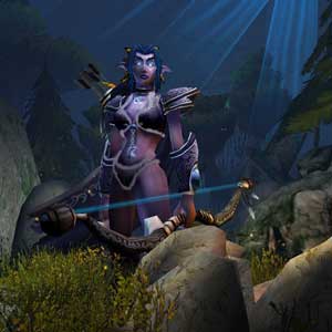 Warcraft 3 Reign of Chaos Elfo