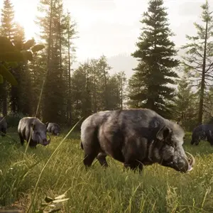 Way of the Hunter 2 - Cinghiale
