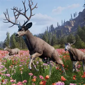 Way of the Hunter 2 - Cervo Mulo
