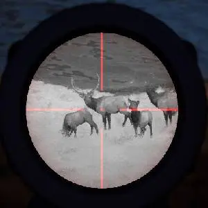 Way of the Hunter - Night Hunting Pack - Mira per Fucile