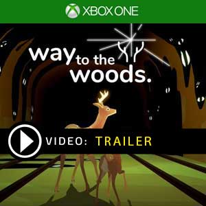 Way to Woods Xbox One Gioco Confrontare Prezzi