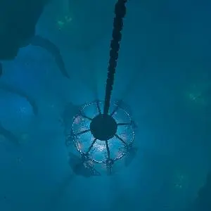 We Were Here Series Bundle - Camera di immersione