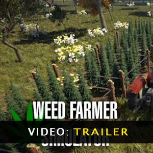 Acquistare Weed Farmer Simulator CD Key Confrontare Prezzi