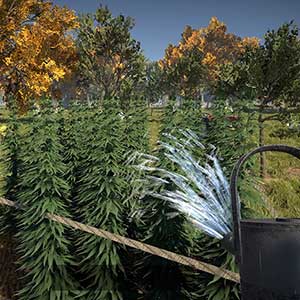 innaffia le tue piante