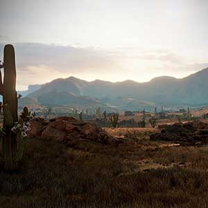 Wild West Online - Deserto