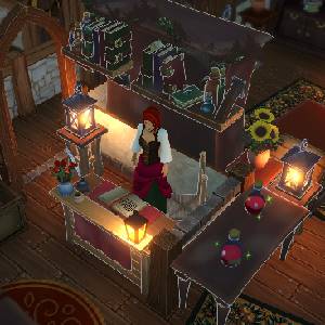 Winkeltje: The Little Shop - Libri e Pozioni