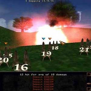 Wizardry 8 Gameplay