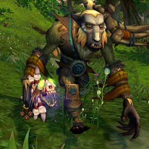 World of Warcraft Mists of Pandaria - Carattere