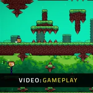 Ziggy – Gameplay
