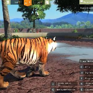 Zoo Tycoon Ultimate Animal Collection - Tigre